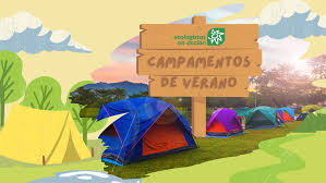Imagen de Campamento de verano 2026